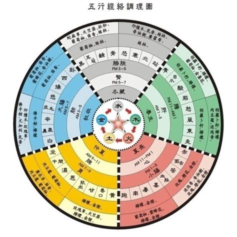 道教算命|五术（仙、医、命、卜、相的合称）